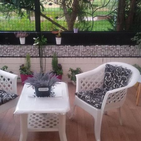 Appartement Dandelo à Novi Sad Extérieur photo